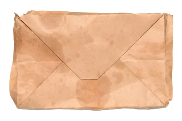 Bio-based packaging adhesive