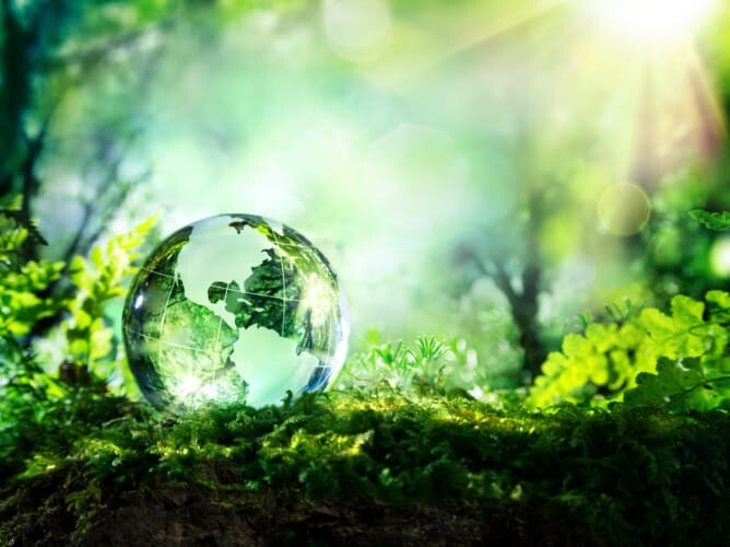 Biobased adhesives and sealants