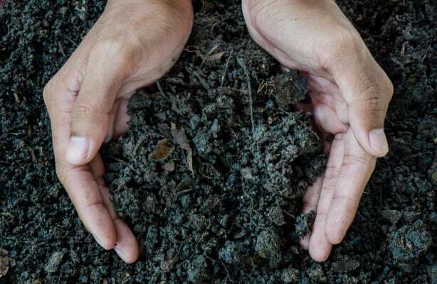 Biodegradable and compostable glues and adhesives