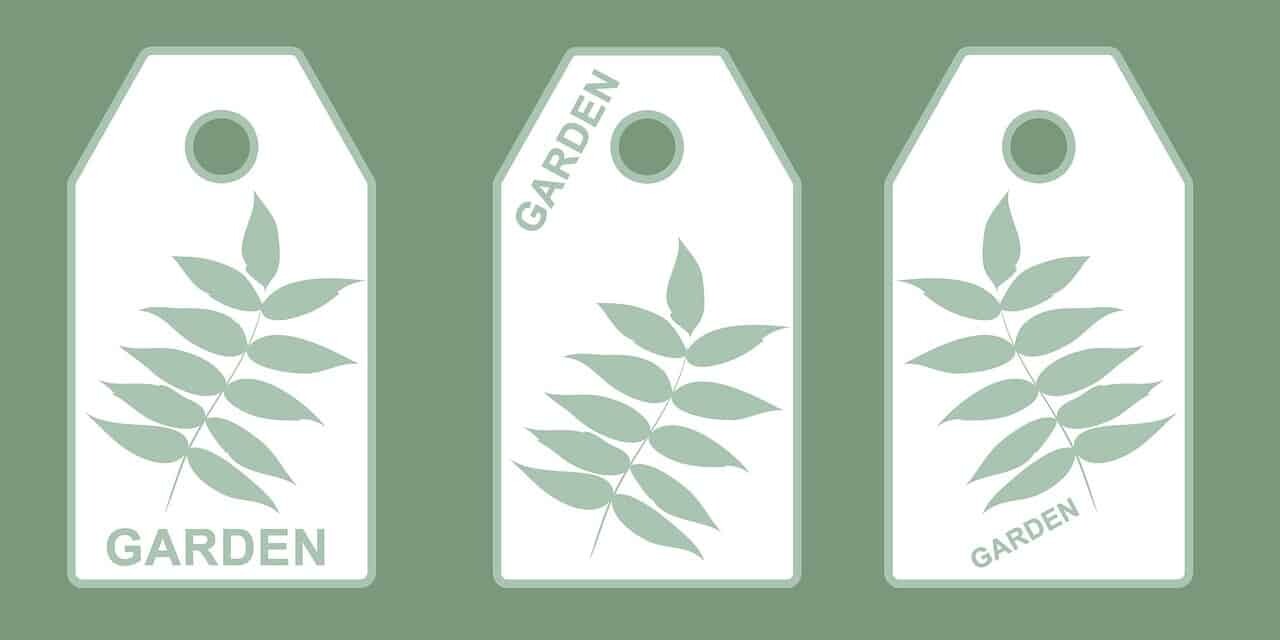 Adhesive labels conquer the plant growing industry