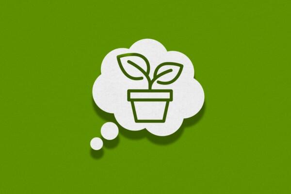 Sustainable adhesives