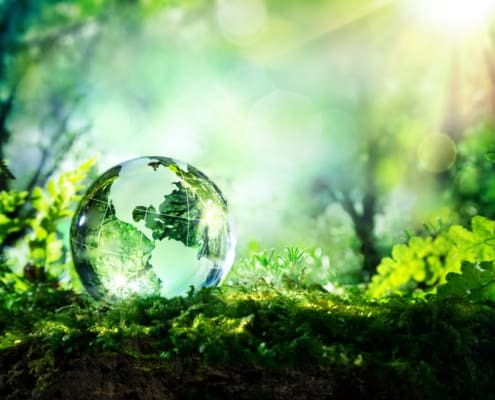 biobased adhesives and sealants from sustainable resources
