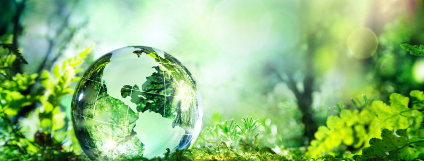 biobased adhesives and sealants from sustainable resources